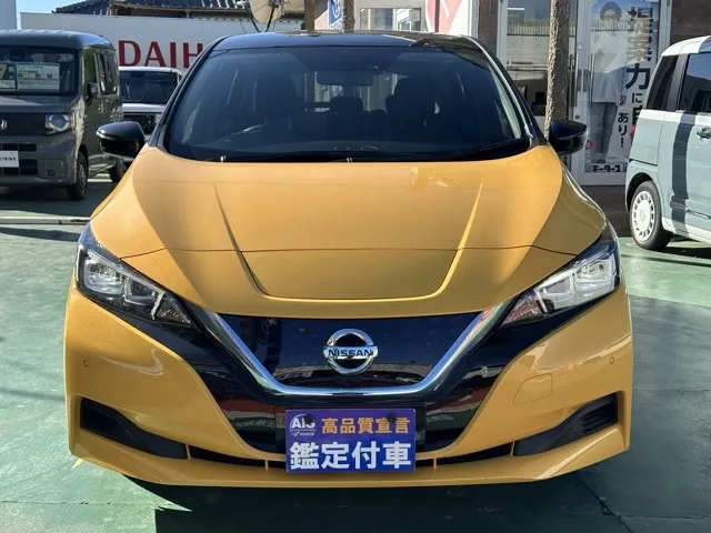 リーフ(ニッサン)S登録済未使用車 26