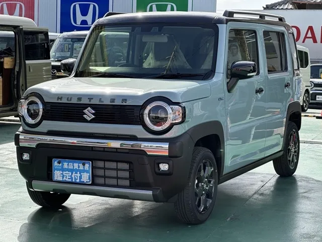 ハスラー(スズキ)タフワイルド届出済未使用車 1