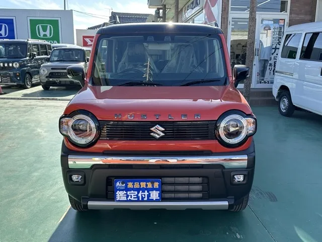 ハスラー(スズキ)タフワイルド届出済未使用車 17