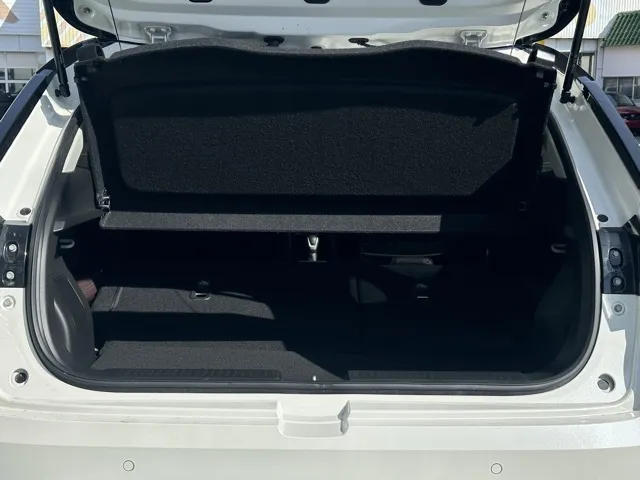 フロンクス(スズキ)ベースグレードレンタＵＰ 9