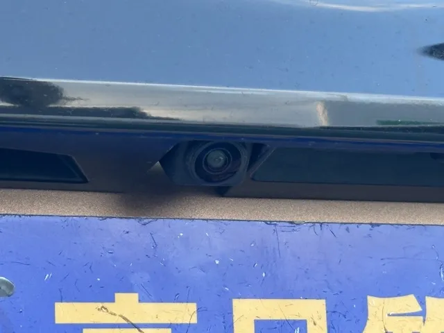 リーフ(ニッサン)e+ Ｘ中古車 7