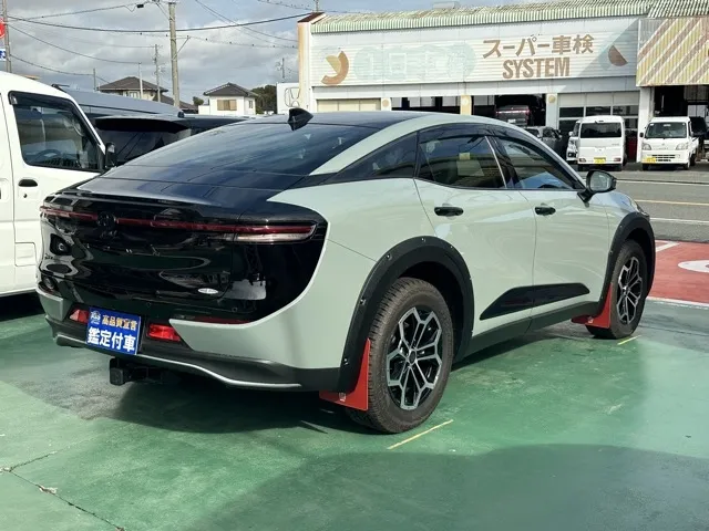 クラウン(トヨタ)RSランドスケープ登録済未使用車 10