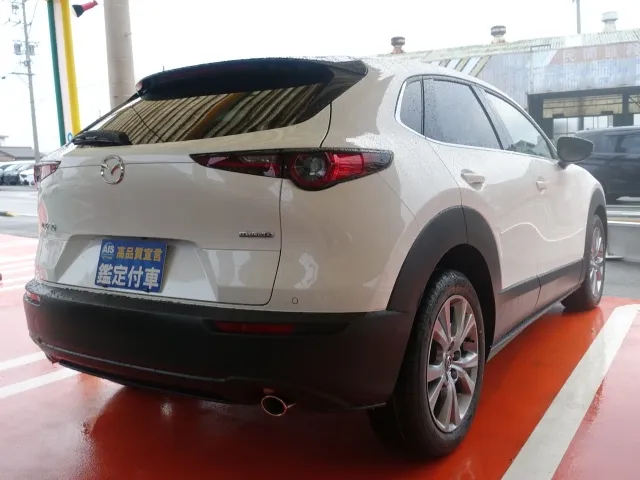 CX-30(マツダ)XD　Lパッケージ登録済未使用車 12